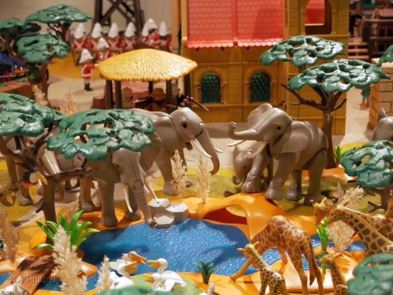 T160 afrika-P2590431.JPG